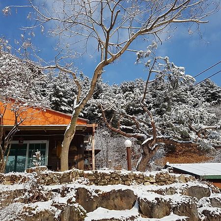 Bluesky Pension Pocheon Εξωτερικό φωτογραφία