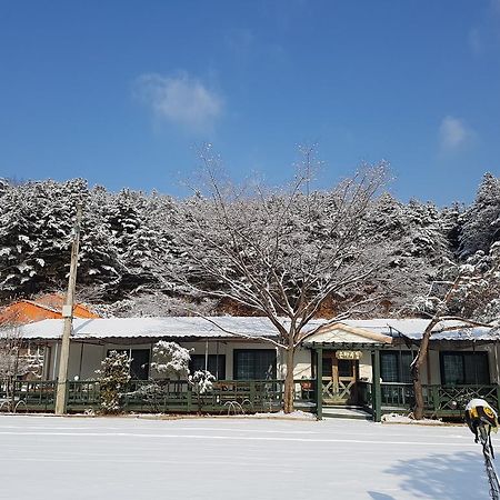Bluesky Pension Pocheon Εξωτερικό φωτογραφία