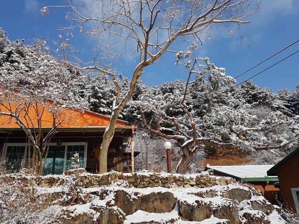 Bluesky Pension Pocheon Εξωτερικό φωτογραφία