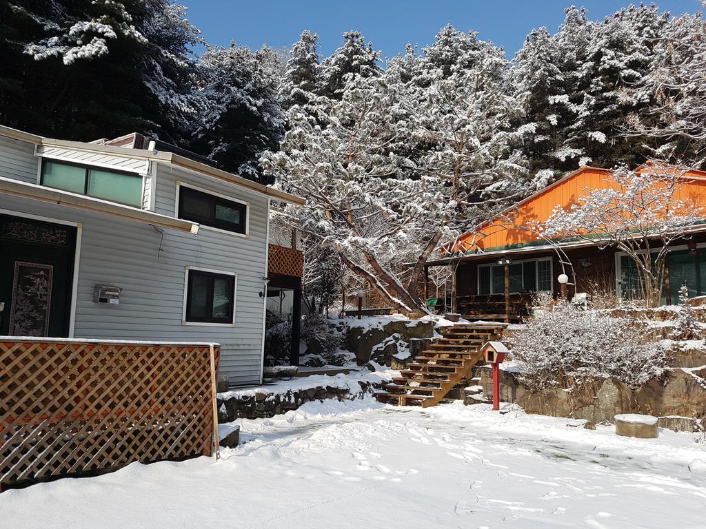 Bluesky Pension Pocheon Εξωτερικό φωτογραφία