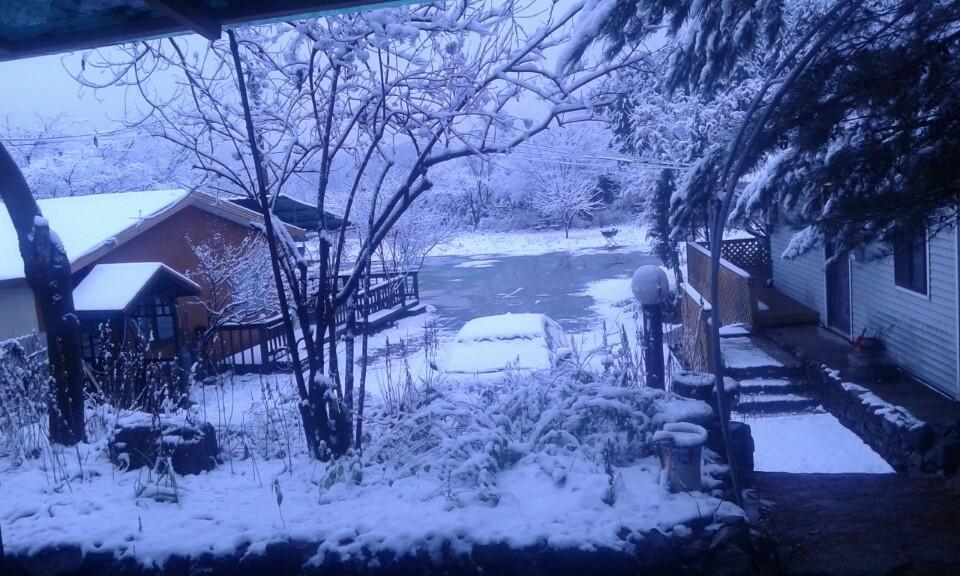 Bluesky Pension Pocheon Εξωτερικό φωτογραφία