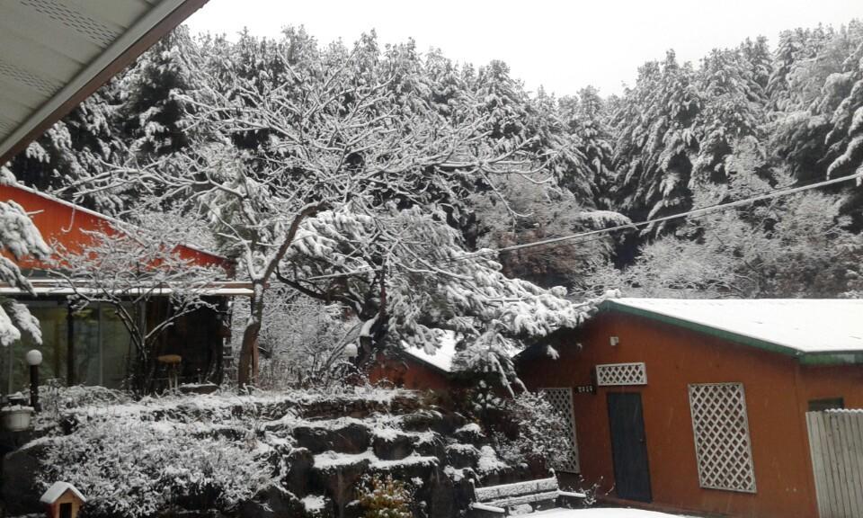 Bluesky Pension Pocheon Εξωτερικό φωτογραφία